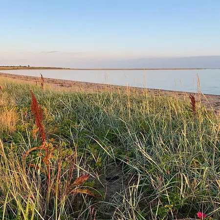 Dom wakacyjny Mayla - 50m From The Sea By Interhome Haderslev